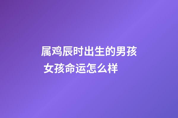 属鸡辰时出生的男孩 女孩命运怎么样